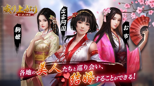 成り上がり-華と武の戦国