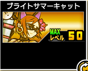 ブライトサマーキャット