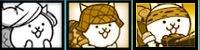 ネコカメラマン