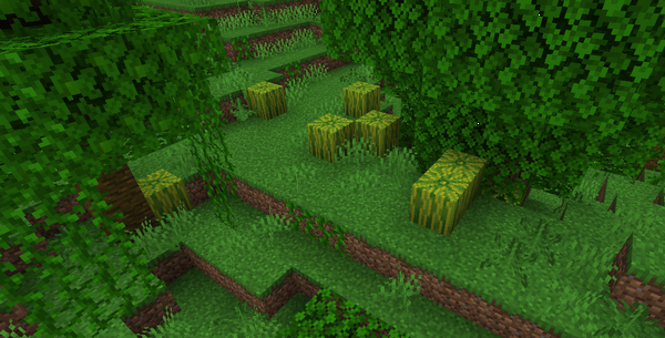 マイクラのスイカはジャングルで入手できる