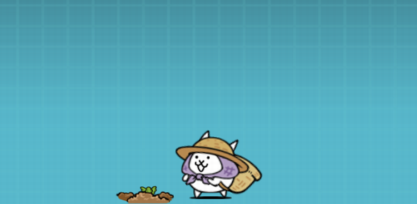 ねこカブ農家