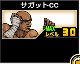 サガットCCの使い勝手