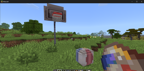 バスケットゴールとボール。