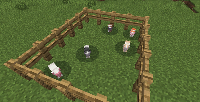 マイクラのモルモット