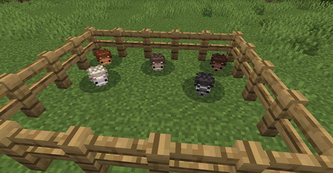 マイクラのハリネズミ