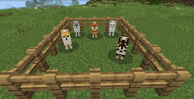マイクラの柴犬