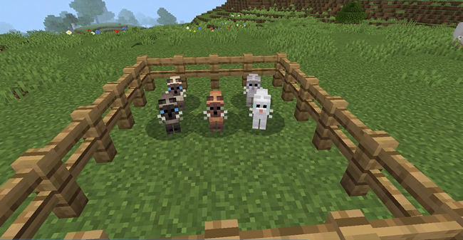 マイクラのシャムネコ