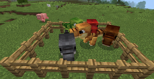 マイクラのTレックス