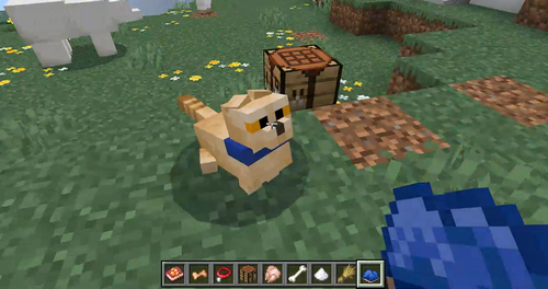 首輪の色を染料で変える