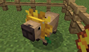 フラワーヘッド