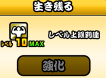 ネコカメラマンの本能の優先順位は?
