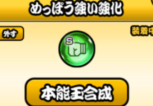 ネコカメラマンには本能玉何つける?