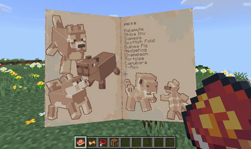 「spark ペッツライツの統計」（説明書）