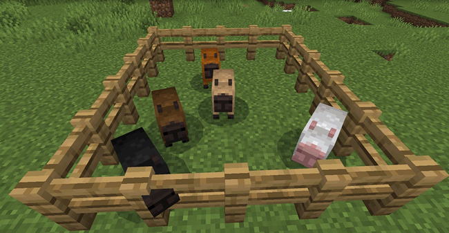 マイクラのカピバラ