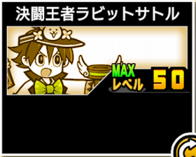 決闘王者ラビットサトルの使い勝手