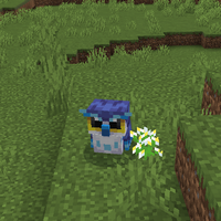 アズールオウル（Azure Owl）