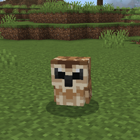 モリフクロウ（Tawny Owl）