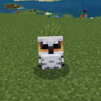 シロフクロウ（Snowy Owl）