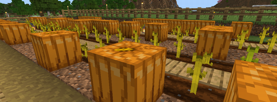 マイクラのカボチャ